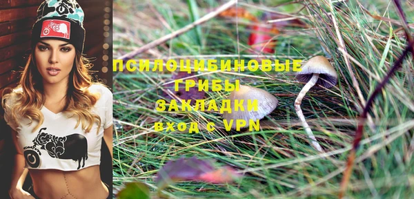 дживик Мегион