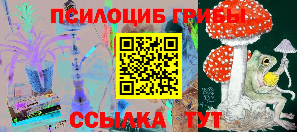 Псилоцибиновые грибы GOLDEN TEACHER Ишимбай